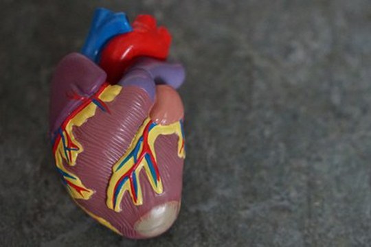 Diversi sottotipi di Lipoproteina (a) possono avere impatti diversi sul rischio di malattie cardiovascolari