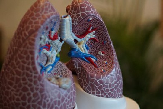 Il circuito che raddoppia i ventilatori polmonari