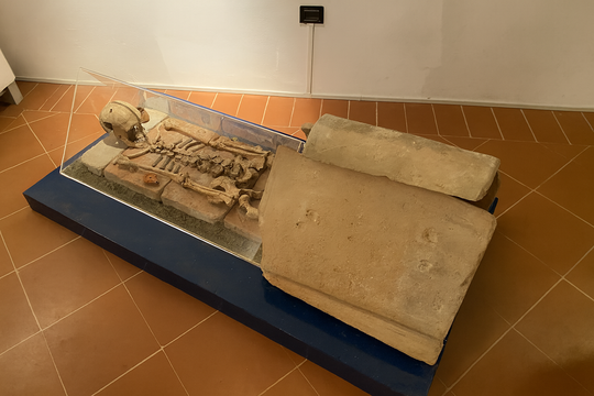 Il DIMEC e i suoi specialisti in veste museografica