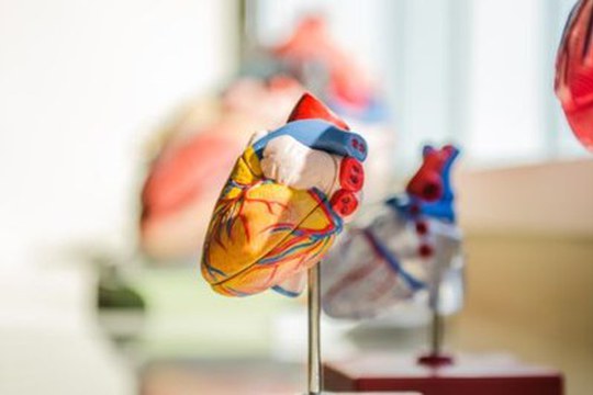 Prevenzione cardiovascolare: gli effetti benefici delle statine