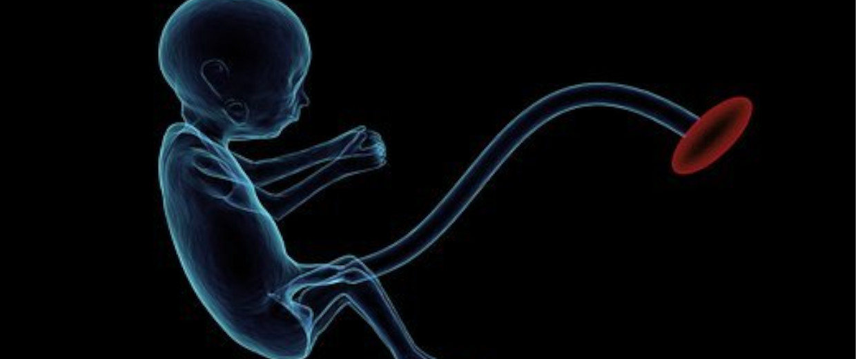 Ginecologia e ostetricia