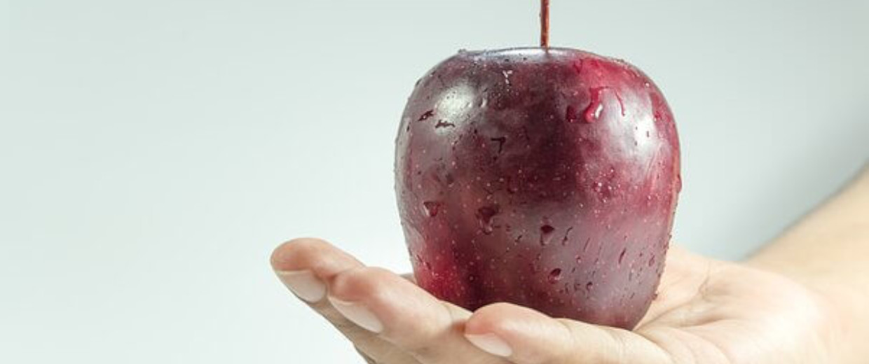 Scienze tecniche dietetiche applicate